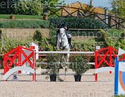 CHIAUDANI AMERICAN BLUE CampITA2013- S5 9074 : AMERICAN BLUE VAN EEKLELCHEM, CHIAUDANI NATALE, Campionati Italiani 2013, Cattolica, Horse Riviera Resort, foto di Stefano Secchi ©